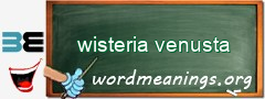 WordMeaning blackboard for wisteria venusta